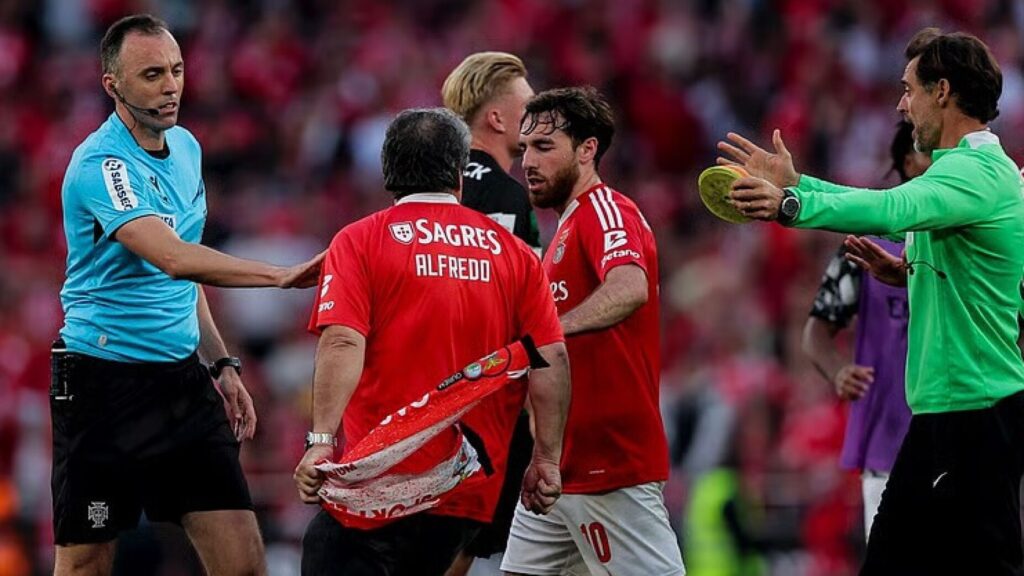 Adepto que invadiu o relvado no Benfica-Sporting pede desculpa a João Pinheiro